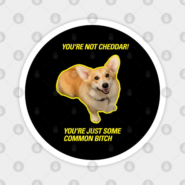 Cheddar  |  Brooklyn 99 Magnet by cats_foods_tvshows